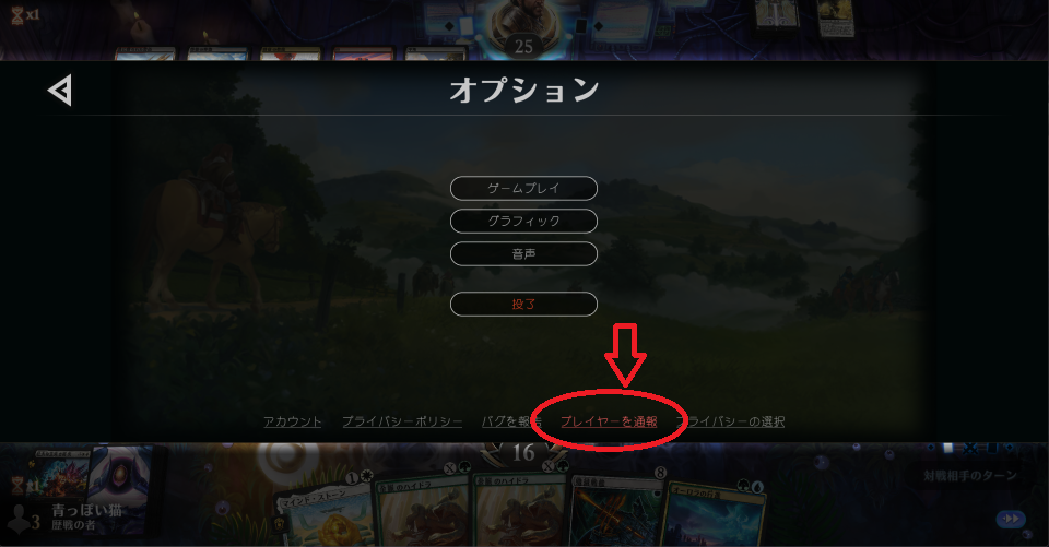 やっとゲーム内から通報できるようになった